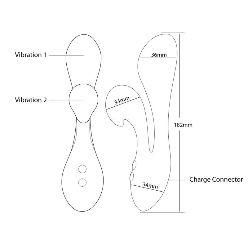 Swan - The Silhouette Swan Pink 5