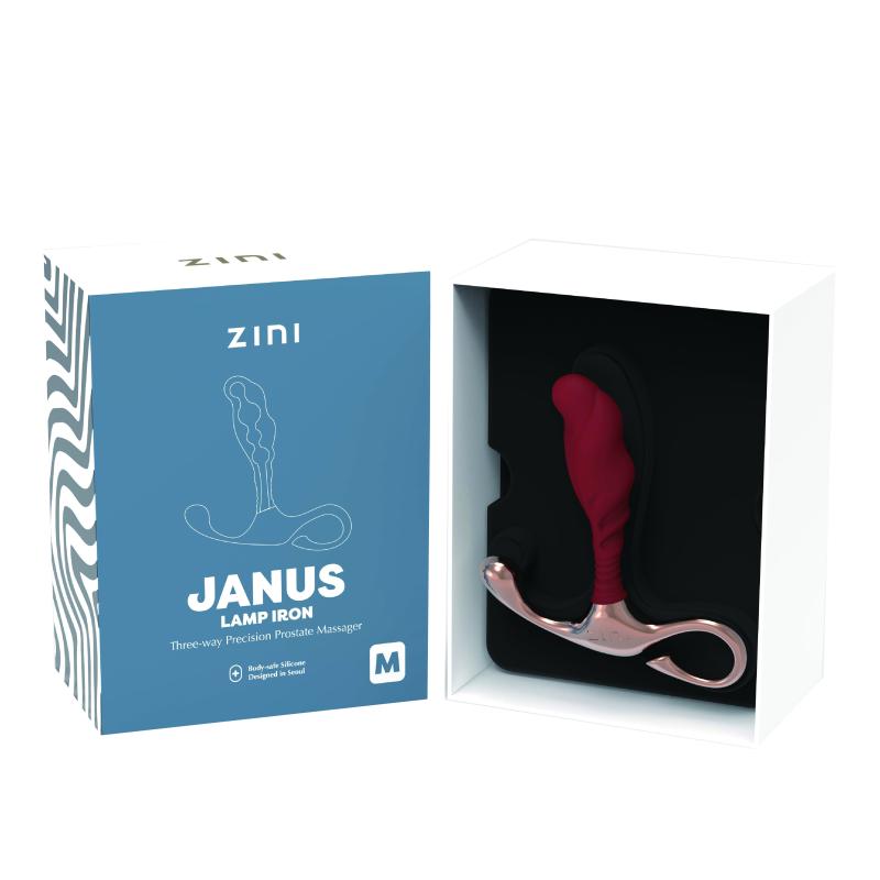 Zini - Lampe JANUS en fer (M) Bordeaux 2