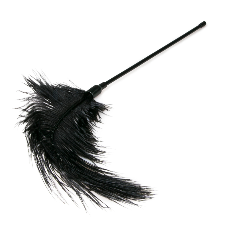 Black Feather Tickler image