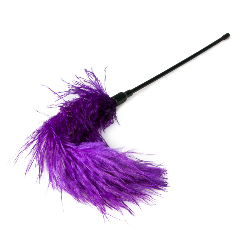 Purple Feather Tickler image