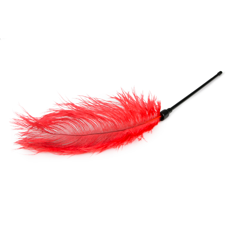 Red Feather Tickler image