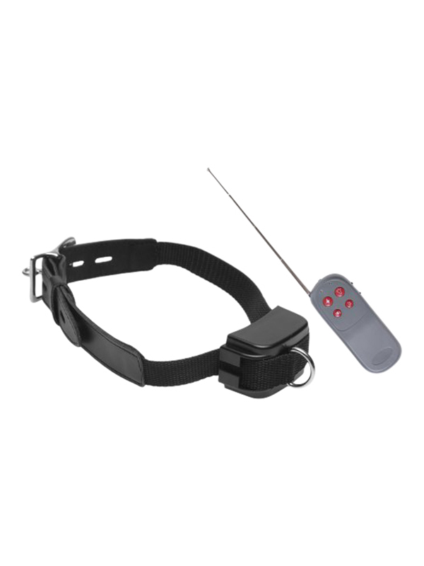 Collier dressage de soumis à chocs électriques