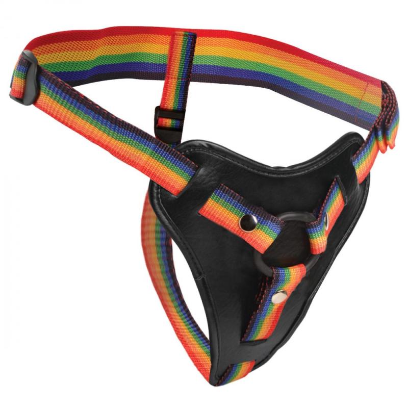 Image of Take the Rainbow Universelles Strap-on-Gurtzeug