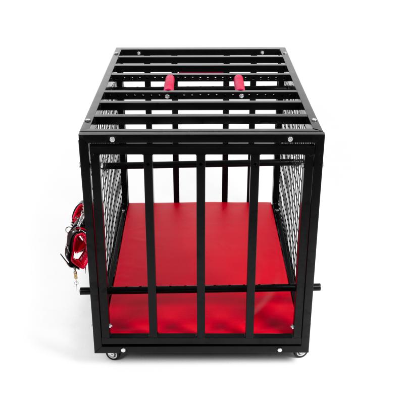 BDSM Cage 5