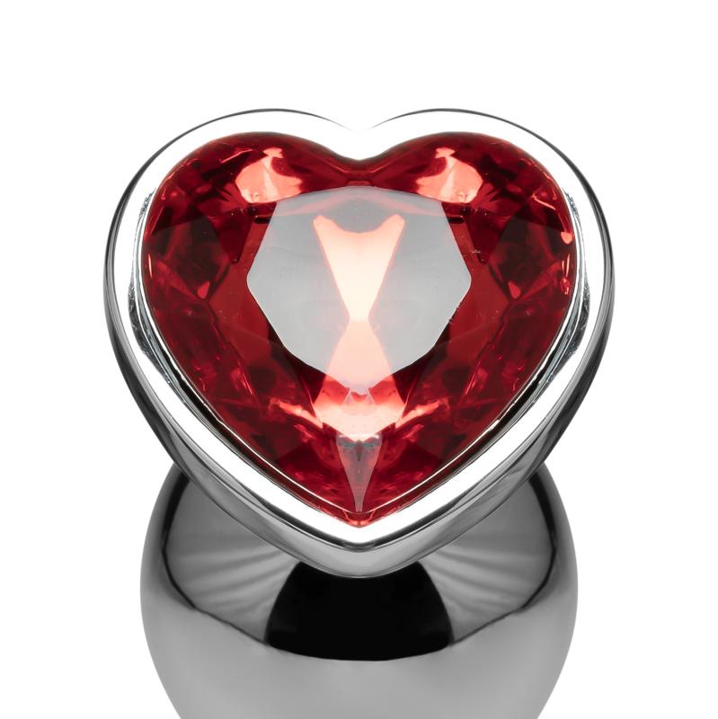 Ensemble de plugs anaux en cristal - Argent 5