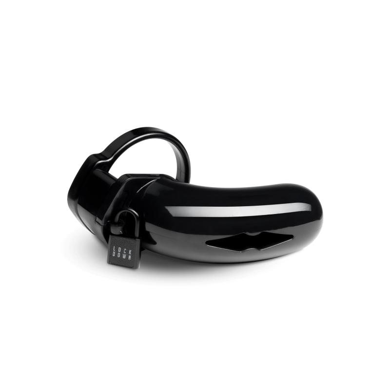 Cage de chasteté - Large 4