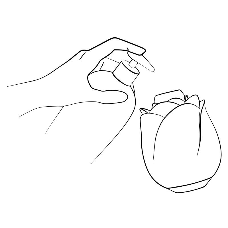 by Womanizer - Rose Vibromasseur à pression d’air - Rose 10